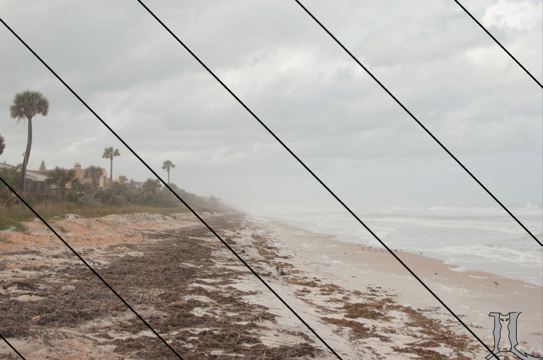 Daytona Looking North